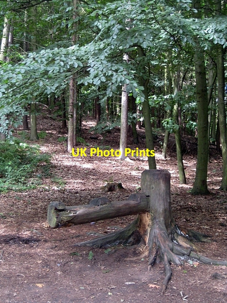 Photo 6"x4" Newmillerdam Country Park-Rustic seat Newmillerdam c2010
