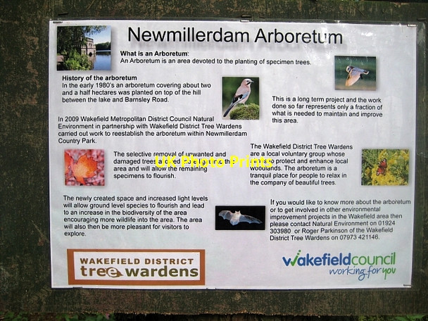 Photo 6"x4" Newmillerdam Country Park-Arboretum (2) Newmillerdam c2010