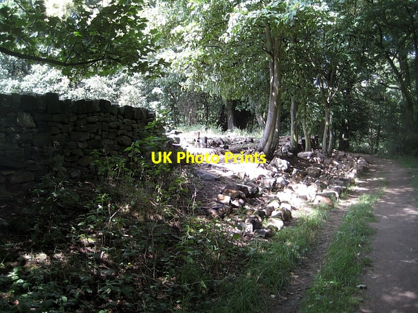 Photo 6"x4" Newmillerdam Country Park- Boundary wall (1) Newmillerdam c2010