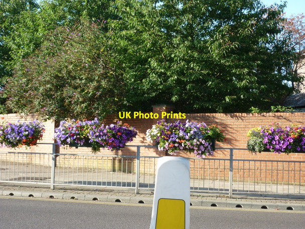 Photo 6"x4" Flowers at crossroads Grimsby c2010
