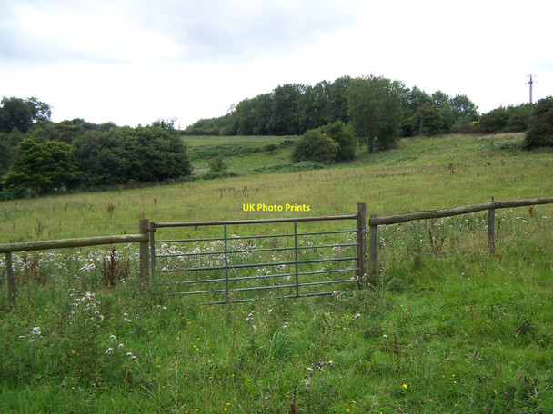 Photo 6"x4" Footpath Up From Newland Newland\/SO5509 c2010
