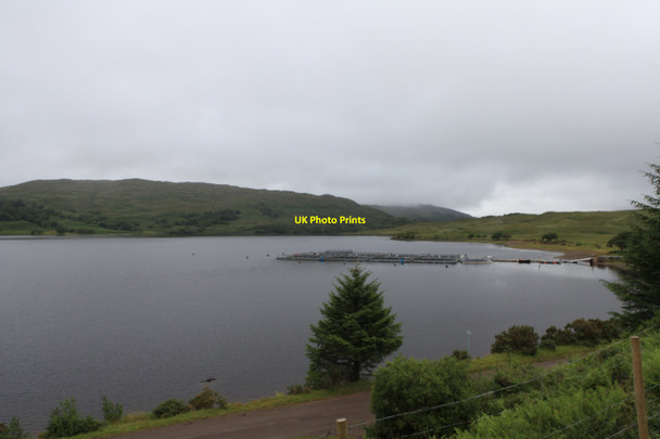 Photo 6"x4" Loch Arienas from Forestry Road Camas Allt a' Choire c2010