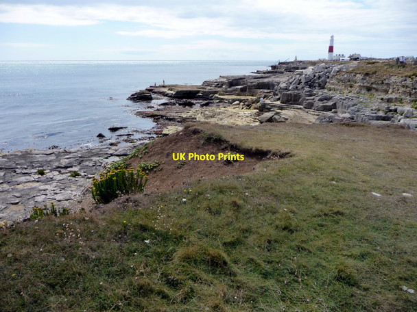 Photo 6"x4" Cliff top, Portland Bill, Dorset Southwell\/SY6870 c2010 P2