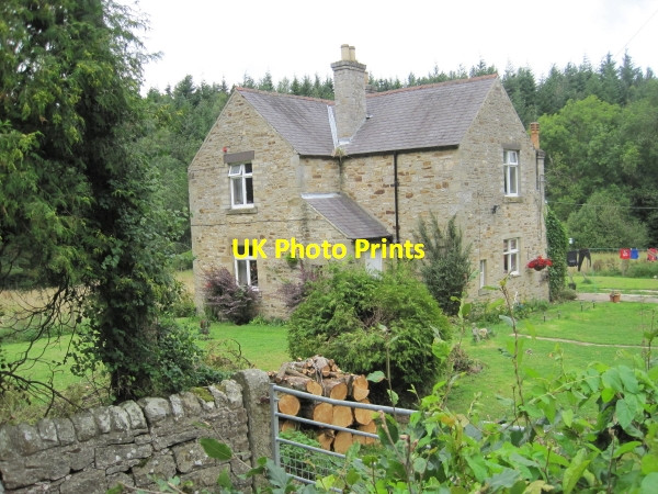 Photo 6"x4" House near Devil's Water Dukesfield\/NY9457 c2010
