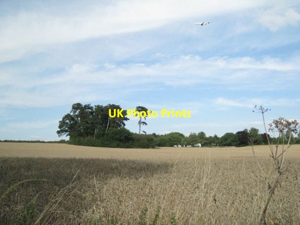 Photo 6"x4" Clump of trees, jet overhead Barston c2010