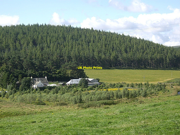 Photo 6"x4" View towards Boultenstone Towie\/NJ4312 c2010