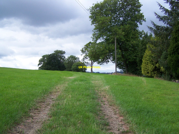 Photo 6"x4" Footpath From Orcop Church Orcop c2010