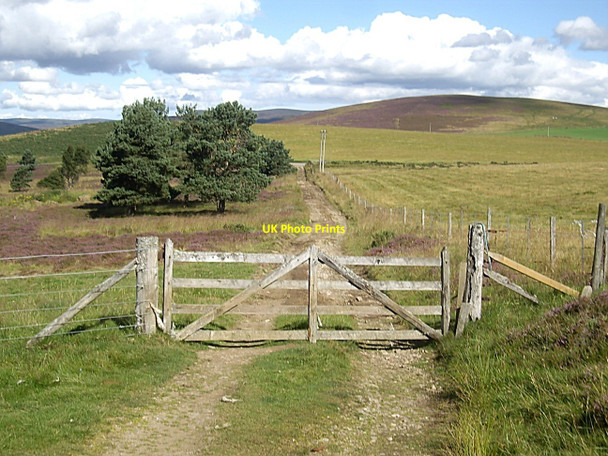 Photo 6"x4" Exit from the moor Towie\/NJ4312 c2010