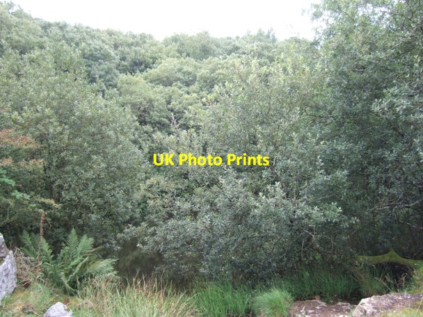 Photo 6"x4" Flooded quarry near Merrivale Merrivale\/SX5475 c2010
