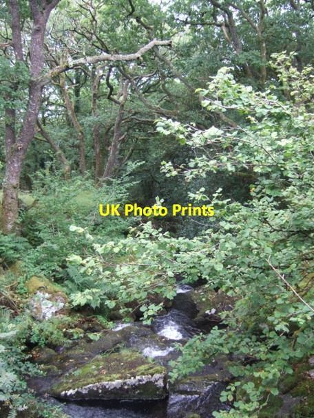 Photo 6"x4" Stream south of Longash, Merrivale Merrivale\/SX5475 c2010