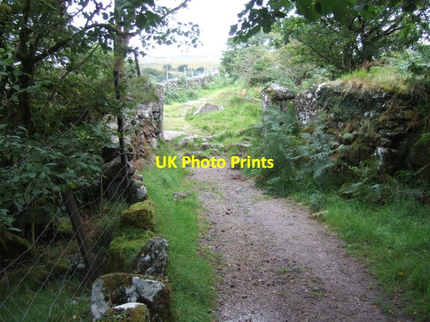 Photo 6"x4" Path leading to Longash, Merrivale Merrivale\/SX5475 c2010