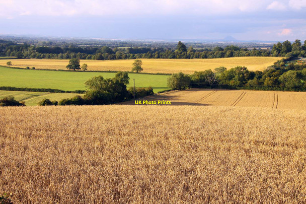 Photo 6"x4" Field waiting for harvest Faringdon c2010
