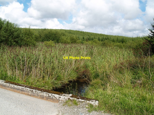 Photo 6"x4" Glengap Burn and Reed Bed Bankben c2010