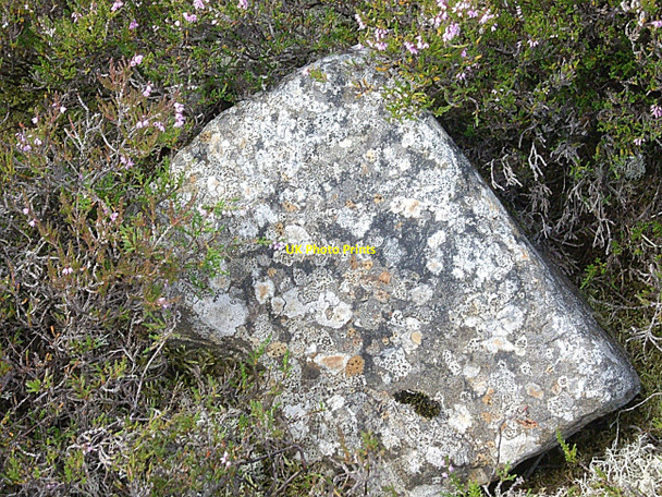 Photo 6"x4" A lichen-covered granite block Migvie c2010