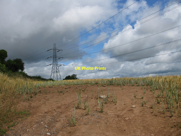Photo 6"x4" Edge of a barley field near Kynaston Kynaston\/SO5427 c2010