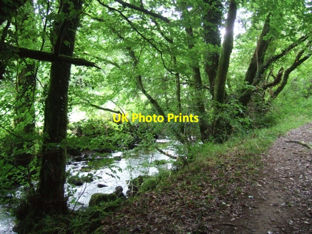 Photo 6"x4" West Webburn River and Two Moors Way Higher Dunstone c2010