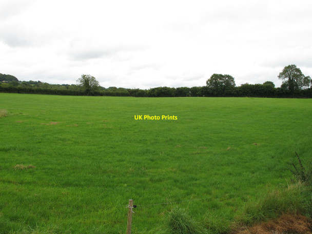 Photo 6"x4" Pasture near Cahervally Crecora c2010