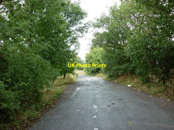 Photo 6"x4" A lay-by to the east of Healing near Grimsby Great Coates c2010