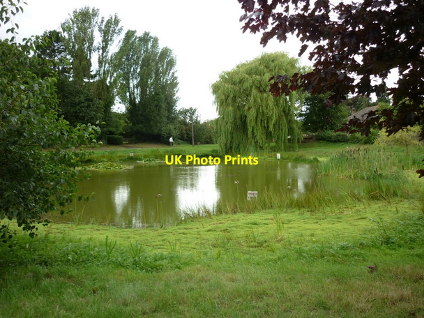 Photo 6"x4" Great Limber village pond Great Limber c2010