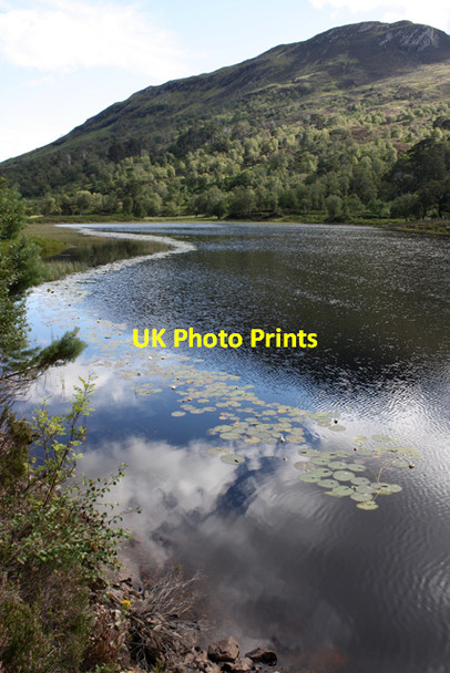 Photo 6"x4" Loch Coulin Coulin Lodge c2010