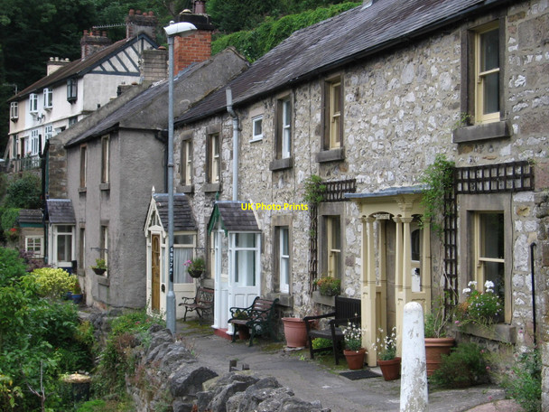 Photo 6"x4" Matlock - Common Wood Matlock c2010