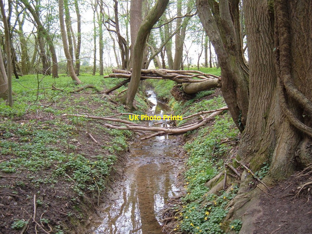 Photo 6"x4" Stream through Crow Green Wood Green\/TM2091 c2009