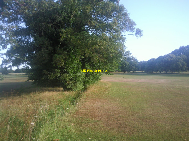 Photo 6"x4" Hedgeline at Avery Hill Fields Eltham c2010