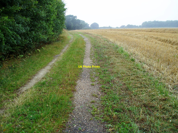 Photo 6"x4" Track to Bilsham Road Bilsham c2010