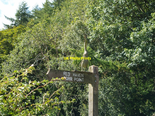 Photo 6"x4" Signpost for Red Haven & Torr Point. Auchencairn\/NX7951 c2010
