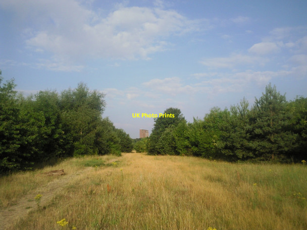 Photo 6"x4" Abbey Hill Millennium Wood, Sidcup Sidcup c2010