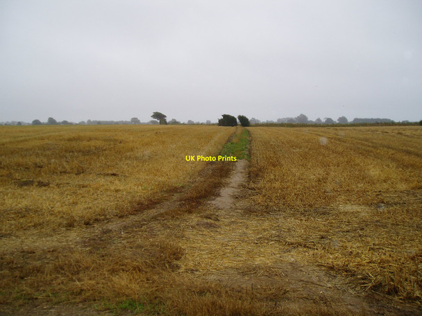 Photo 6"x4" Route to Bilsham Bilsham c2010