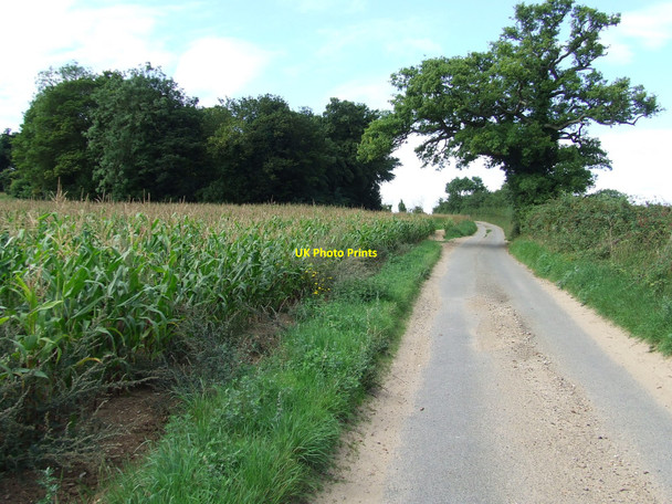 Photo 6"x4" Country Lane Baylham c2010