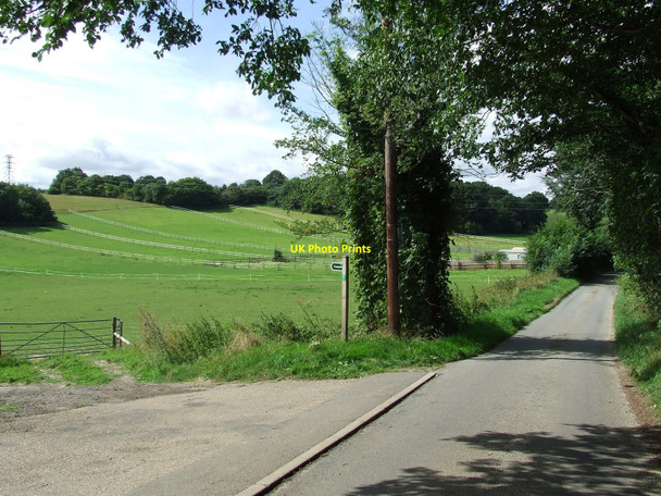 Photo 6"x4" Green Paddocks Baylham c2010