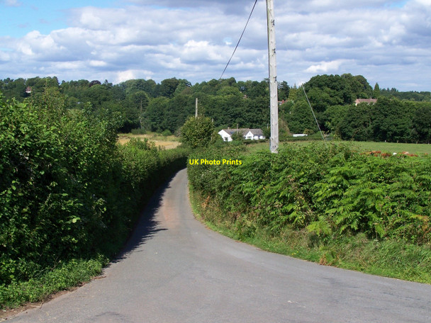 Photo 6"x4" Lane To Penrhos Penrhos\/SO4111 c2010