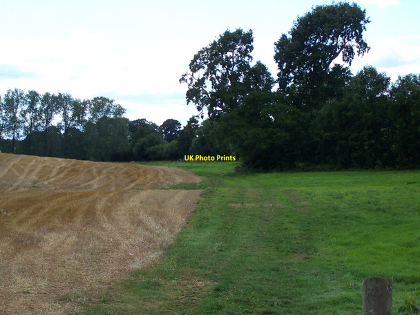 Photo 6"x4" Footpath To Dingestow Court Dingestow c2010