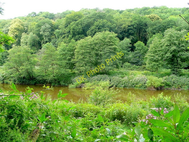 Photo 6"x4" View across the Wye Tre-gagle c2009