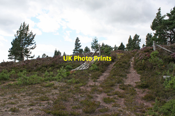 Photo 6"x4" Gate to moorland south of Black Cairn Cragganmore\/NJ1636 c2010