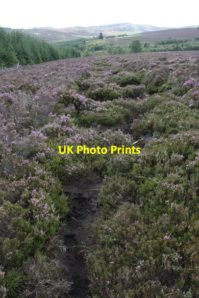 Photo 6"x4" Line of old track to Lynemore Cragganmore\/NJ1636 c2010
