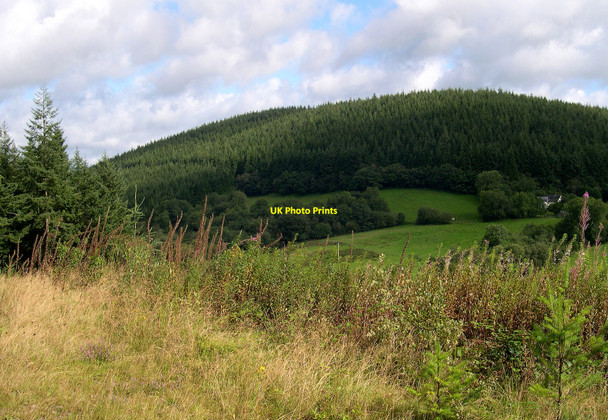 Photo 6"x4" Edge of forestry Llansawel c2010
