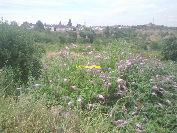 Photo 6"x4" Old quarry at Swanscombe Swanscombe c2010
