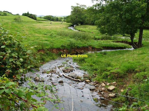 Photo 6"x4" Glenley Burn Kirkcudbright c2010