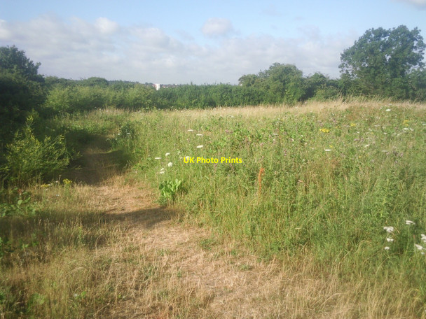 Photo 6"x4" From the Green Chain Walk near Mottingham Eltham c2010