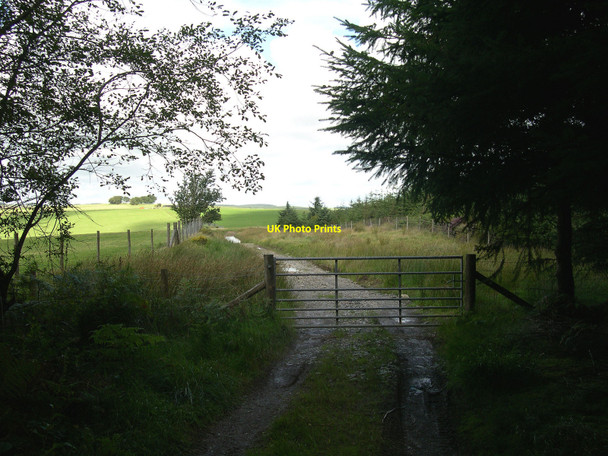 Photo 6"x4" Gate on bridleway Abergorlech c2010