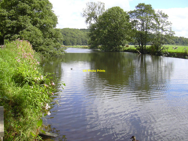 Photo 6"x4" River Calder, Whalley, Lancashire Whalley Banks c2010