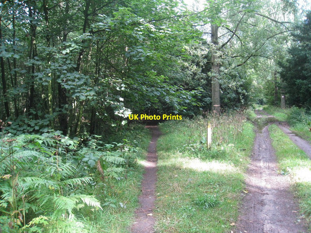 Photo 6"x4" Footpath to the left ! Broughton\/SE9608 c2010