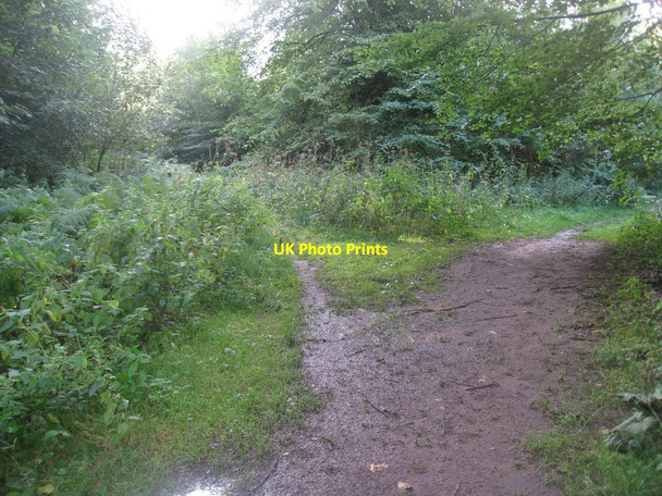 Photo 6"x4" Left or right ? Broughton\/SE9608 c2010