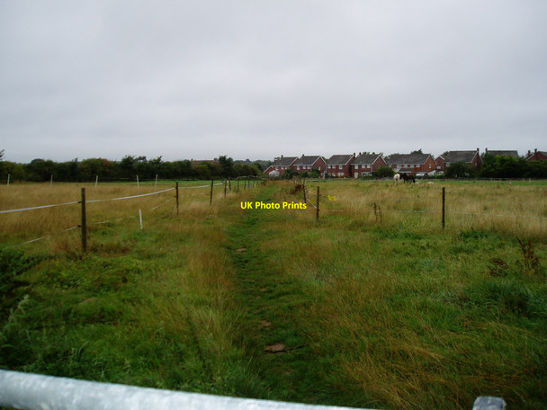 Photo 6"x4" Approaching Walberton Barnham\/SU9604 c2010