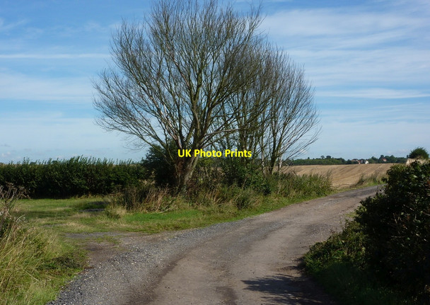 Photo 6"x4" Track to Mattersey Priory Wiseton c2010