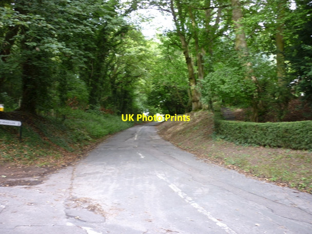 Photo 6"x4" Vicarage Lane, Elsham Elsham c2010