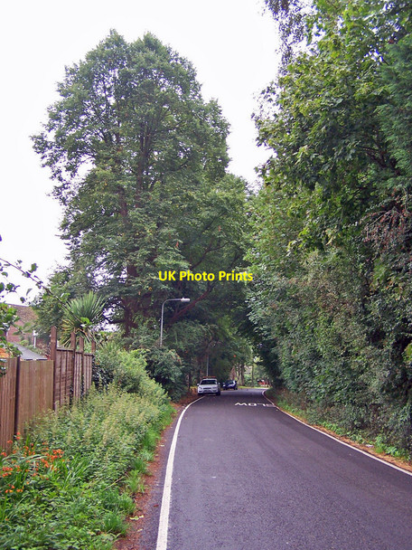 Photo 6"x4" Holmesland Lane, Botley Broadoak\/SU5013 c2010